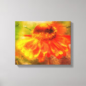 Dromerige Zinnia Bloem Verdrietig Canvas Afdruk (Voorkant)