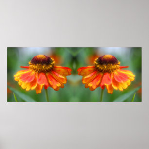 Dromerige Zinnia Flower Mirror Abstract Poster