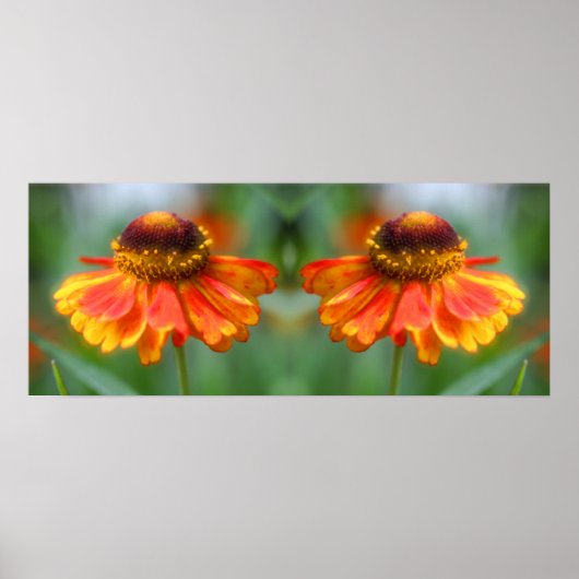 Dromerige Zinnia Flower Mirror Abstract Poster (Voorkant)