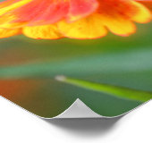 Dromerige Zinnia Flower Mirror Abstract Poster (Hoek)