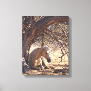 Dromerige Zonsondergang Paard Bos Schilderij Canvas Afdruk