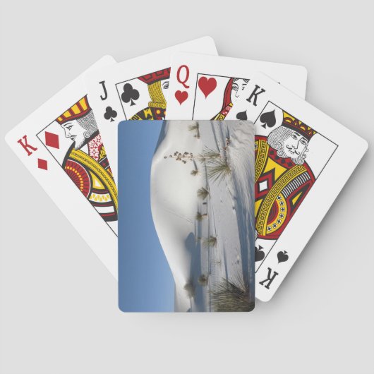 Dronken en Soaptree Yucca Pokerkaarten (Achterkant)