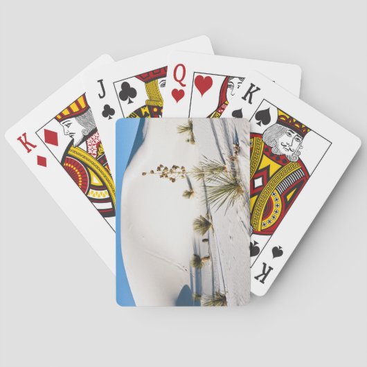 Dronken en Soaptree Yucca Pokerkaarten (Achterkant)