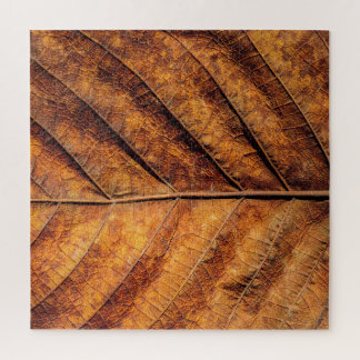 Droog blad: natuurlijke textuur achtergrond. legpuzzel