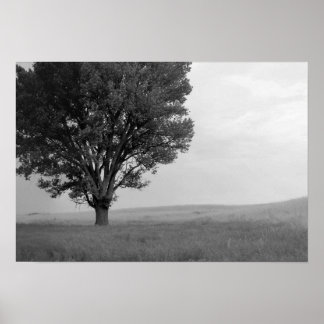 Droog Storm over Oklahoma grasland III (Kol Desat) Poster