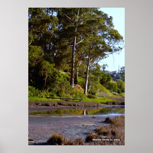 droogmeer poster (Voorkant)