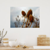 droogteflessen poster (Keuken)