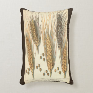 Droogteresistente tarweplant, vintage landbouw accent kussen