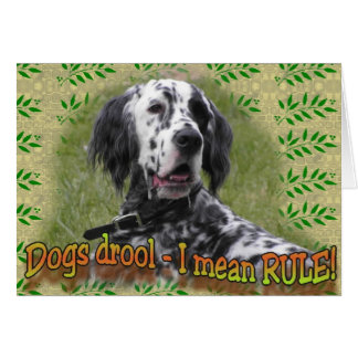 drool of RULE