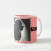Drool Rules Newf Mug (Devant droit)