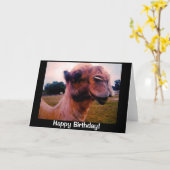 Drooling Camel Verjaardag Groet Kaart (Gele Bloem)