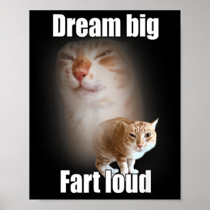 Droom groot harde scheet kat meme grappige uitdruk poster