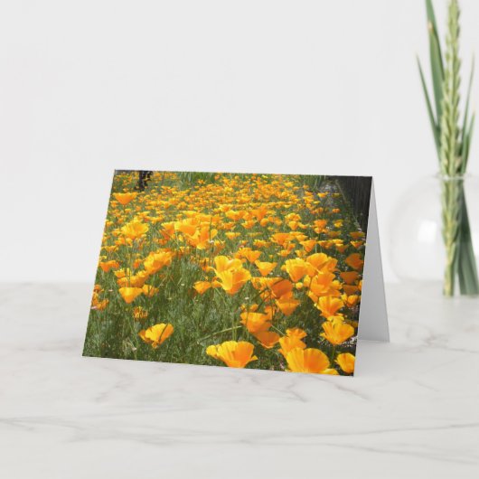 Droomgebied Kaart (Voorkant)