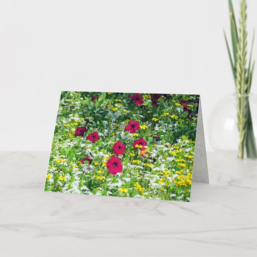 Droomgebied Kaart (Voorkant)