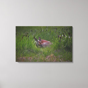 droomland canvas afdruk