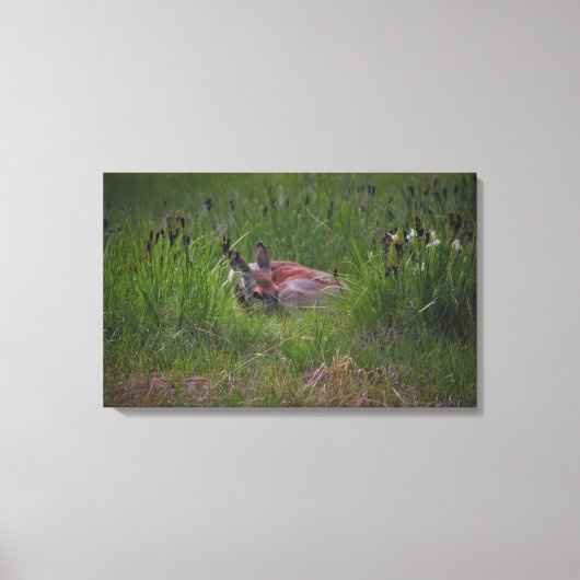 droomland canvas afdruk (Voorkant)