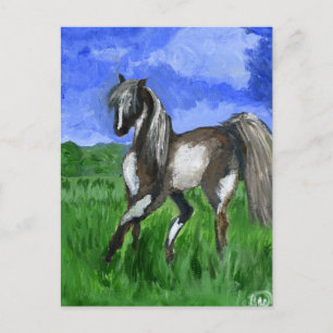 Droompaard Briefkaart