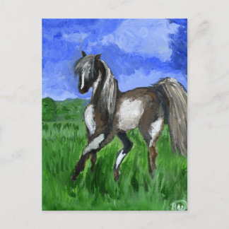 Droompaard Briefkaart