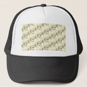 droomvanger trucker pet