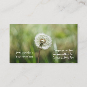 droomvisitekaartje visitekaartje