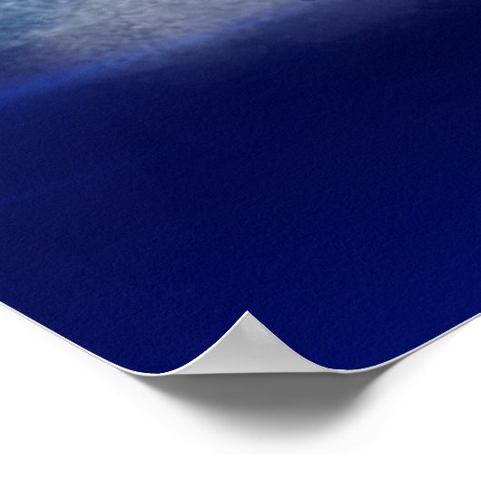 Droomwalvis en dolfijnen poster (Hoek)