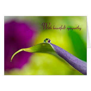 Droplet D'Eau Sympathique Sur La Feuille