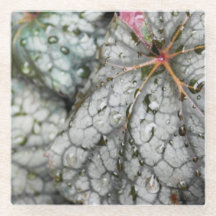 "Droplets" Oorspronkelijke kunst van KAS