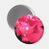 Droplets sur pétales aimant (Recto/Verso)