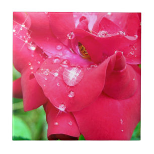 Droplets sur Pétales Carreaux photo en céramique