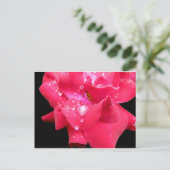 Droplets sur pétales Carte postale (Debout devant)