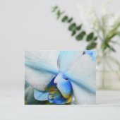 Drops sur Blue Orchid - carte postale (Debout devant)