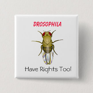 DROSOPHILA, Drosophila, heb Righ... - Gepersonalis Vierkante Button 5,1 Cm