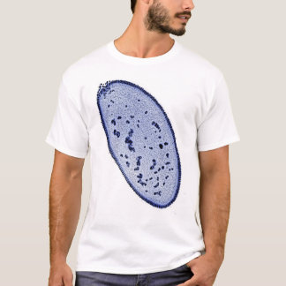 drosophila embryo - DNA-vlek T-shirt