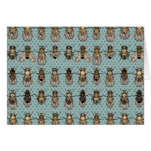 Drosophila Fruit Fly Genetics