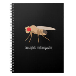 Drosophila Lab-laptop Notitieboek