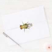 Drosophila melanogaster ronde sticker (Envelop)