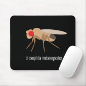 Drosophila Mousepad Muismat (Met muis)