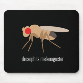 Drosophila Mousepad Muismat
