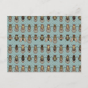 Drosophila mutanten briefkaart