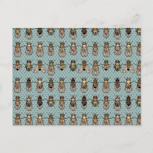 Drosophila mutanten briefkaart (Voorkant)
