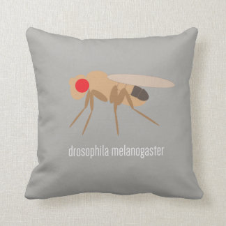 Drosophila Pillow Kussen