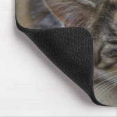 Drowsing Calico Kitten Muismat (Hoek)