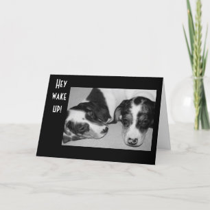 DROWSY DACHSHUNDS 40e BIRTHDAY Kaart