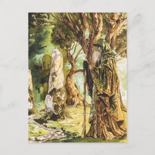Druïde Keltische wijze priester van Natuur Briefkaart