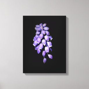 Druif Hyacint Bloem Leinwand Afdruk Canvas Afdruk