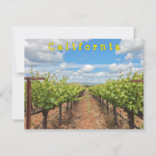 Druiven Briefkaart