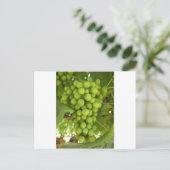 druiven briefkaart (Staand voorkant)