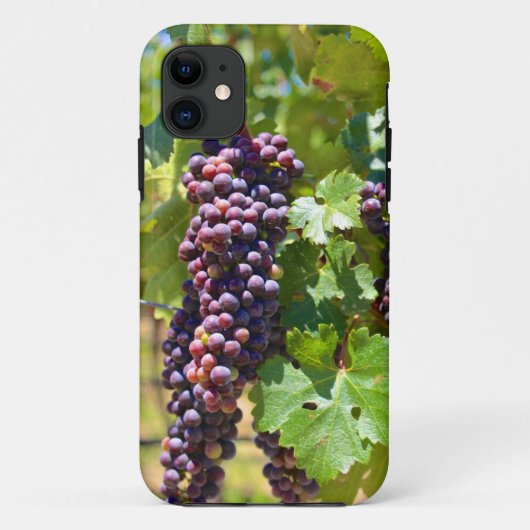 druiven Case-Mate iPhone case (Achterkant)