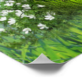 Druiven, Honeysuckles & Hummingbird Poster (Hoek)