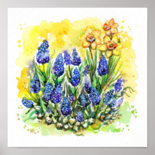 Druiven Hyacinth Garden Poster